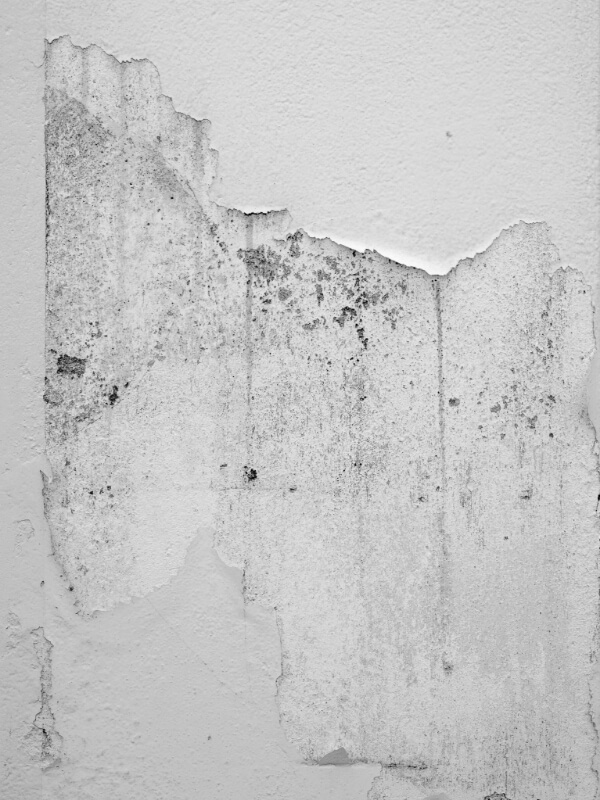 コンクリート調の壁の画像